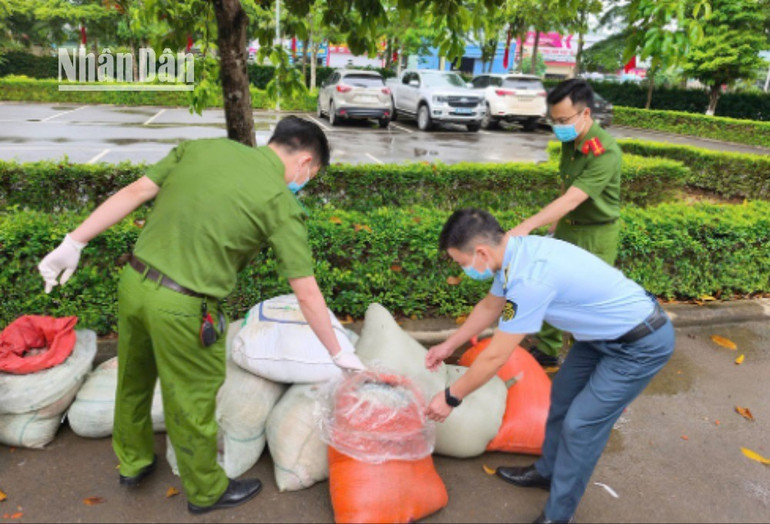Quyết liệt xử lý hàng nhập lậu và thực phẩm bẩn 3 3 9857