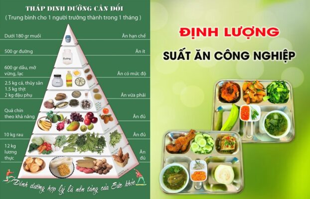 DINH LUONG SUAT AN CONG NGHIEP DAT CHUAN 2024 1200X900